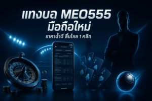 แทงบอล MEO555 มือถือใหม่